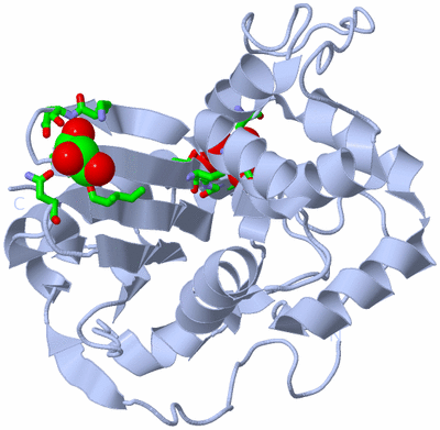 Image Biol. Unit 1 - sites