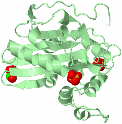 Image Biological Unit 2