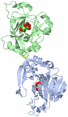 Image Asym./Biol. Unit