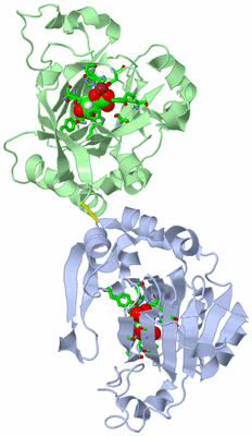 Image Asym./Biol. Unit - sites