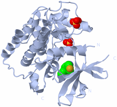 Image Biological Unit 1
