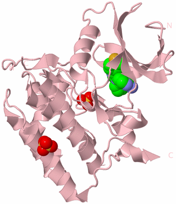 Image Biological Unit 3