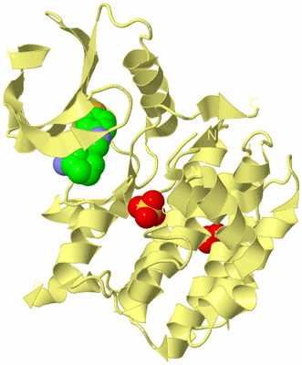 Image Biological Unit 4
