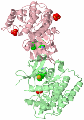 Image Biological Unit 6