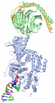 Image Asym./Biol. Unit