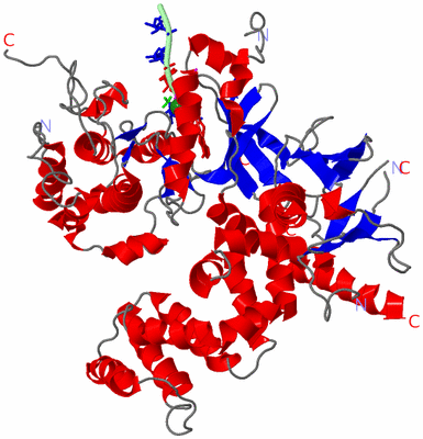 Image Asym./Biol. Unit