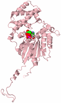 Image Biological Unit 1