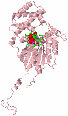 Image Biol. Unit 1 - sites