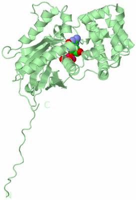 Image Biological Unit 2