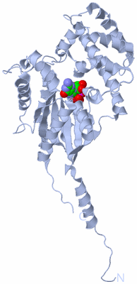 Image Biological Unit 3