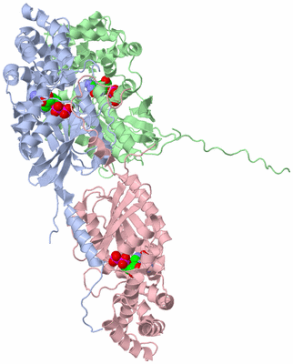 Image Biological Unit 5