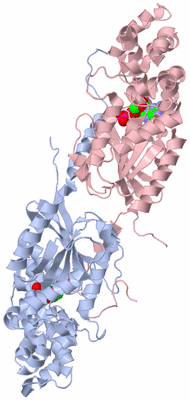 Image Biological Unit 6