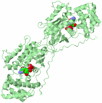 Image Biological Unit 7