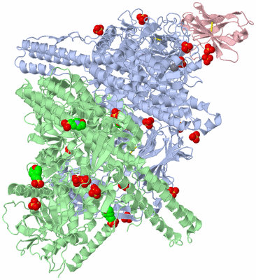 Image Asym./Biol. Unit