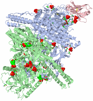 Image Asym./Biol. Unit - sites