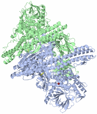 Image Asym./Biol. Unit