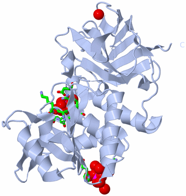 Image Biol. Unit 1 - sites