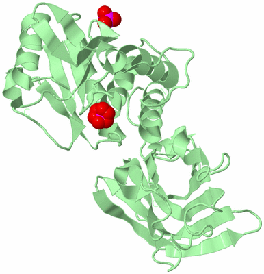 Image Biological Unit 2