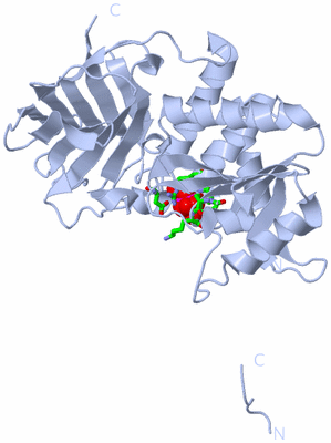 Image Biol. Unit 1 - sites