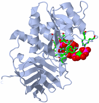 Image Biol. Unit 1 - sites