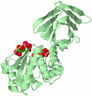 Image Biological Unit 2