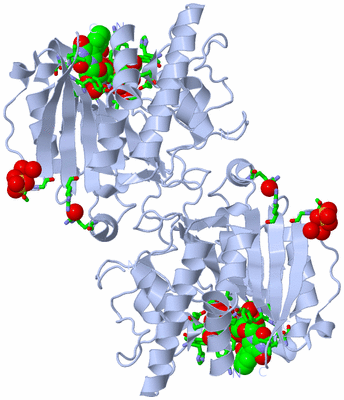 Image Biol. Unit 1 - sites