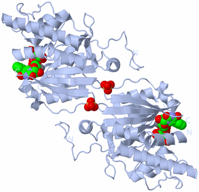 Image Biological Unit 2