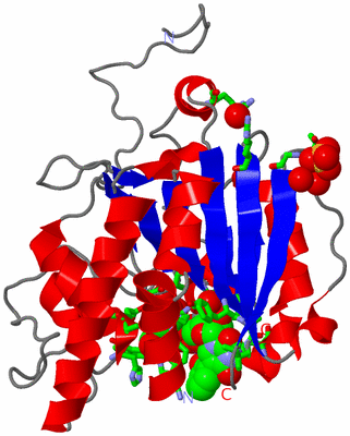 Image Asym. Unit - sites