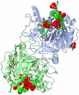 Image Asym./Biol. Unit - sites