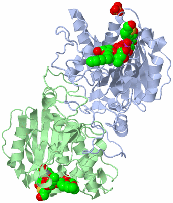 Image Asym./Biol. Unit