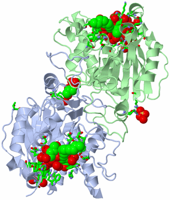 Image Asym./Biol. Unit - sites