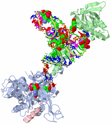 Image Asym./Biol. Unit