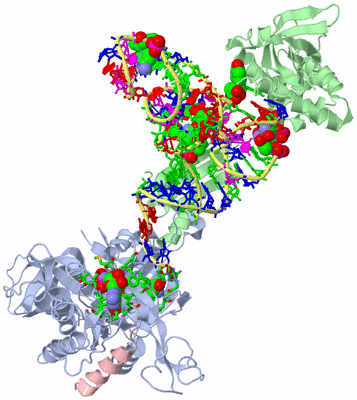 Image Asym./Biol. Unit - sites