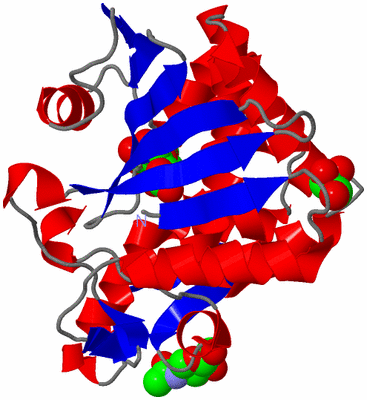 Image Asym./Biol. Unit