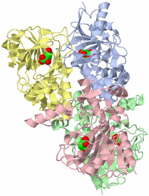 Image Asym./Biol. Unit