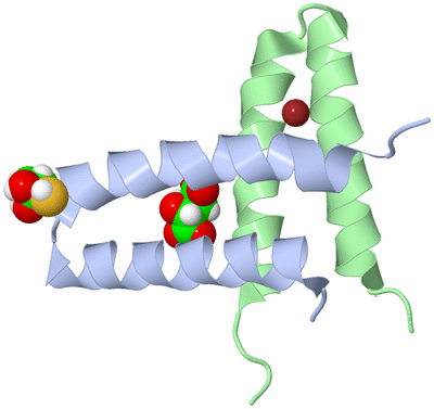 Image Asym./Biol. Unit