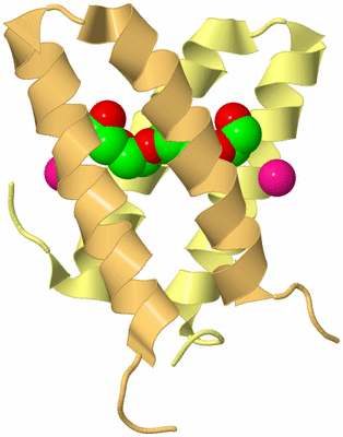 Image Biological Unit 3