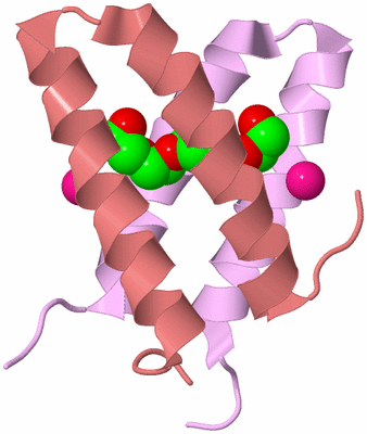 Image Biological Unit 4