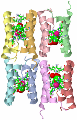 Image Asym. Unit - sites