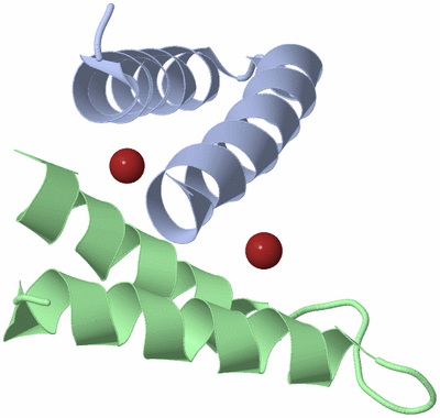 Image Asym./Biol. Unit