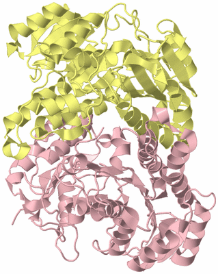 Image Asym./Biol. Unit