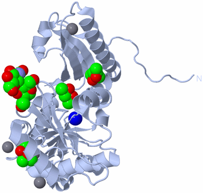 Image Biological Unit 1