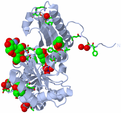 Image Biol. Unit 1 - sites