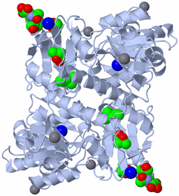 Image Biological Unit 2