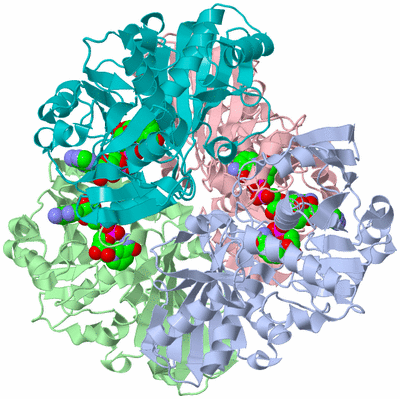 Image Asym./Biol. Unit