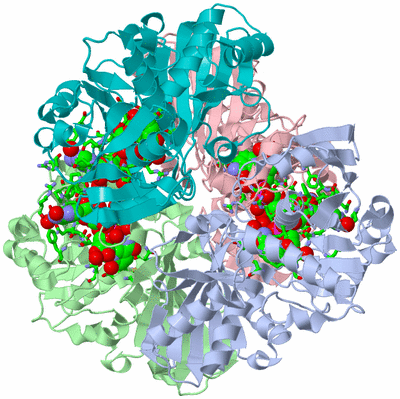 Image Asym./Biol. Unit - sites