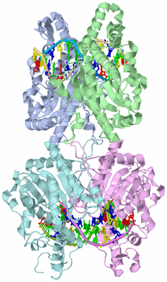 Image Biological Unit 1