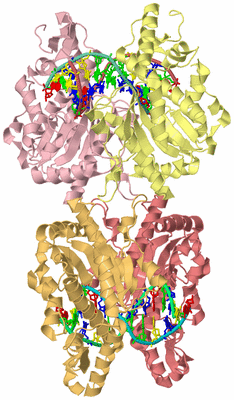 Image Biological Unit 2