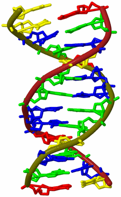 Image Biological Unit 3