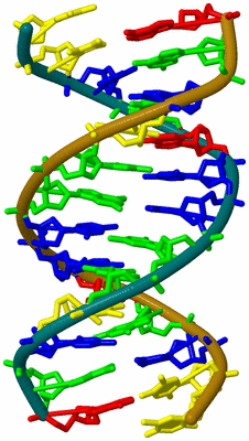 Image Biological Unit 4